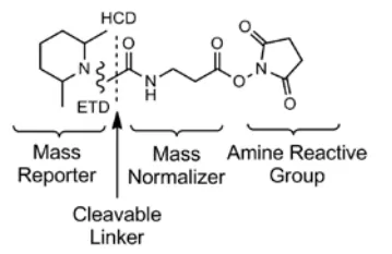 Figure 2. The general formula of chemical structure of TMT reagents